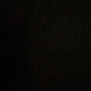 Meet your Posher, Diondra